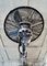 Vintage Industrial Electric Pedestal Fan from Cinni, Image 6