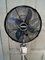 Vintage Industrial Electric Pedestal Fan from Cinni, Image 4