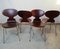 Ant Dining Chairs by Arne Jacobsen for Fritz Hansen, 1950s, Set of 4 14