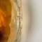 Brass and Brown Glass Hand Blown Murano Glass Wall Lights, Set of 2 2