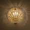 Golden Ice Glass Shell Wall Sconce from Kalmar, 1960s 3