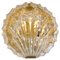 Golden Ice Glass Shell Wall Sconce from Kalmar, 1960s, Image 1