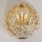 Golden Ice Glass Shell Wall Sconce from Kalmar, 1960s 4