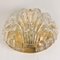 Golden Ice Glass Shell Wall Sconce from Kalmar, 1960s 10
