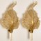 Large Gold Glass Wall Sconce from Barovier & Toso, Italy, 1950s 15