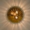 Chandelier or Flush Mount in Brass and Crystal from Palme, 1960s, Image 13