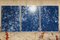 Sunlight Through Forest Branches, Cyanotype Triptych Print, 2020, Image 3