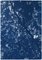 Luz del sol a través de las ramas de los bosques, tríptico Cyanotype Print, 2020, Imagen 5