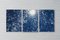 Branches Sunlight Through Forest, Imprimé Cyanotype Triptyque, 2020 2