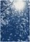 Luz del sol a través de las ramas de los bosques, tríptico Cyanotype Print, 2020, Imagen 4