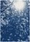 Sunlight Through Forest Branches, Cyanotype Triptych Print, 2020 4