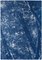 Blaues Wald Triptychon, Blick nach oben durch die Bäume, Cyanotypie Druck in Limitierter Auflage, 2021 6
