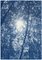 Blaues Wald Triptychon, Blick nach oben durch die Bäume, Cyanotypie Druck in Limitierter Auflage, 2021 5