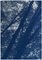 Tríptico Blue Forest, Looking Up Through the Trees, edición limitada estampado cyanotype, 2021, Imagen 4