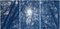 Tríptico Blue Forest, Looking Up Through the Trees, edición limitada estampado cyanotype, 2021, Imagen 1