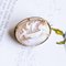 Spilla vintage in oro 18 carati con cammeo raffigurante conchiglie di Plinio, anni '50, Immagine 1