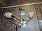 Vintage Glass and Brass Chandelier from Napako, 1960s or 1970s, Image 6