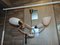 Vintage Glass and Brass Chandelier from Napako, 1960s or 1970s, Image 1