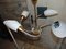 Vintage Glass and Brass Chandelier from Napako, 1960s or 1970s, Image 3
