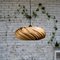 Veneria Oak Hanging Lamp 4