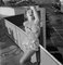 Marilyn Monroe en un bikini plateado con estampado de resina enmarcada en blanco de Archive Photos, Imagen 2