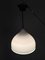 Gray and Milk Glass Ceiling Lamp by Alessandro Pianon for Vistosi 2
