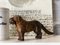 Englischer Gusseisen Nussknacker Hund, 1900er 2