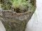 Concrete Planters, Set of 6, Image 7