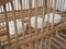 Antique Pine Cheese Aging Cage, 1850s, Imagen 9