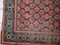 Tapis Khotan Antique, 1900s 8