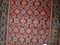 Antique Khotan Rug, 1900s, Image 7