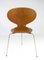 Model 3101 Ant Chairs in Light Wood by Arne Jacobsen for Fritz Hansen, 1950s, Set of 4 16