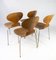 Model 3101 Ant Chairs in Light Wood by Arne Jacobsen for Fritz Hansen, 1950s, Set of 4 10
