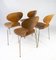 Model 3101 Ant Chairs in Light Wood by Arne Jacobsen for Fritz Hansen, 1950s, Set of 4, Image 10