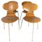 Model 3101 Ant Chairs in Light Wood by Arne Jacobsen for Fritz Hansen, 1950s, Set of 4 1