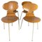 Model 3101 Ant Chairs in Light Wood by Arne Jacobsen for Fritz Hansen, 1950s, Set of 4, Image 1