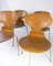 Model 3101 Ant Chairs in Light Wood by Arne Jacobsen for Fritz Hansen, 1950s, Set of 4 3