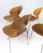 Model 3101 Ant Chairs in Light Wood by Arne Jacobsen for Fritz Hansen, 1950s, Set of 4 8