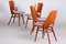 Czech Brown and Grey Beech Chairs by Oswald Haerdtl, 1950s, Set of 4, Image 10