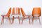 Czech Brown and Grey Beech Chairs by Oswald Haerdtl, 1950s, Set of 4 4