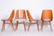 Czech Brown and Grey Beech Chairs by Oswald Haerdtl, 1950s, Set of 4, Image 4