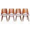 Czech Brown and Grey Beech Chairs by Oswald Haerdtl, 1950s, Set of 4 1