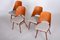 Czech Brown and Grey Beech Chairs by Oswald Haerdtl, 1950s, Set of 4 6