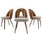 Dining Chairs by Antonin Suman, Czechoslovakia, 1960s, Set of 4, Image 1