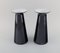 Beatrice and Nora Vases in Black Art Glass from Stölzle-Oberglas, Austria, Set of 2 2