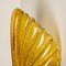 Murano Hand Blown Amber/Ocher Glass Seashell Sconces, Italy, 1960, Set of 2 6