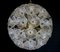 Deckenlampe aus Muranoglasblumen 3