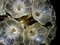 Deckenlampe aus Muranoglasblumen 5