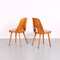 Dining Chairs by Oswald Haerdtl for TON, Set of 2, Image 3