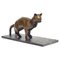 Cat Bronze Sculpture by Augusto Perez 1